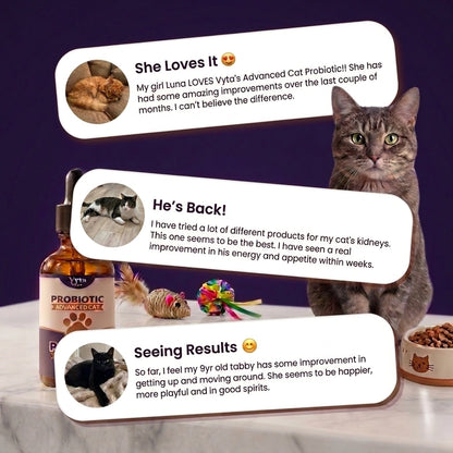 VytaNature - Advanced Cat Probiotic