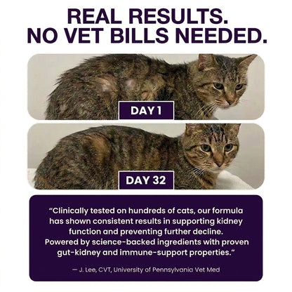 VytaNature - Advanced Cat Probiotic
